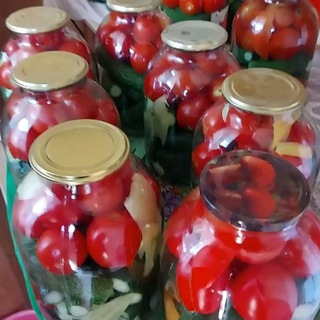 Логотип Телеграм канала zakrytki. Бесплатная аналитика Telegram каналов