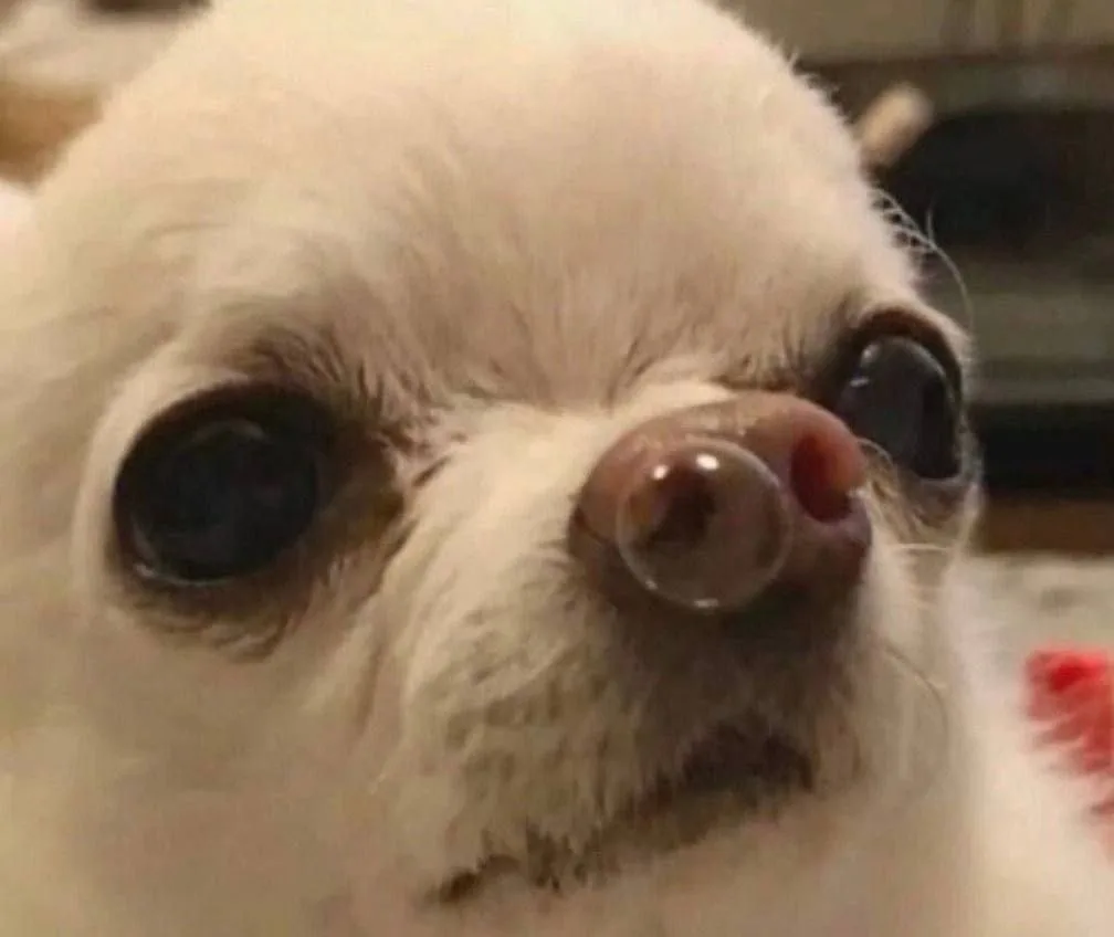 Логотип Телеграм канала xhtxrrhjcrs3yb7ow_4j6okxpnmfism781uvllkwz74. Бесплатная аналитика Telegram каналов