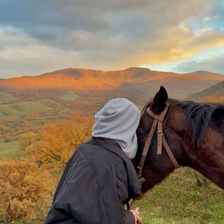 Логотип Телеграм канала 💙أرواح راقية7r℡💙. Бесплатная аналитика Telegram каналов