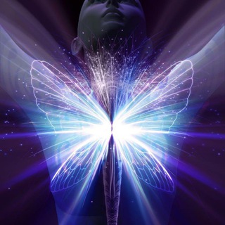 Логотип Телеграм канала 𝑡𝑎𝑟𝑜𝑚𝑎𝑔𝑖𝑐. Бесплатная аналитика Telegram каналов