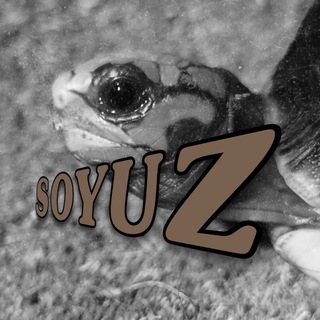 Telegram Channel logo SoyuzHistoria. Free Telegram Channel Analytics