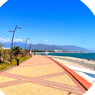 Telegram Channel logo imeretin_ka. Free Telegram Channel Analytics