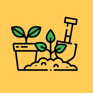 Логотип Телеграм канала +rC-80Q6BOmZmOTVi. Бесплатная аналитика Telegram каналов