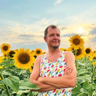 Telegram Channel logo krimoved. Free Telegram Channel Analytics