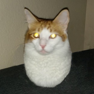 Логотип Телеграм канала гнег. Бесплатная аналитика Telegram каналов