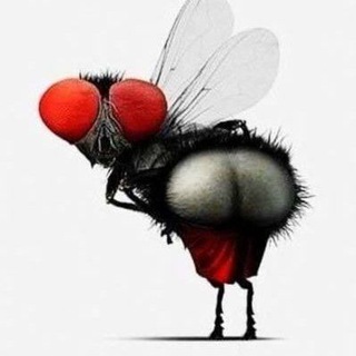 Telegram Channel logo umora_tg. Free Telegram Channel Analytics