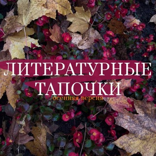 Логотип Телеграм канала . Бесплатная аналитика Telegram каналов