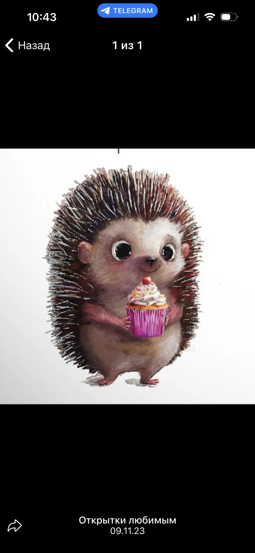 Логотип Телеграм канала sobakenfunny. Бесплатная аналитика Telegram каналов