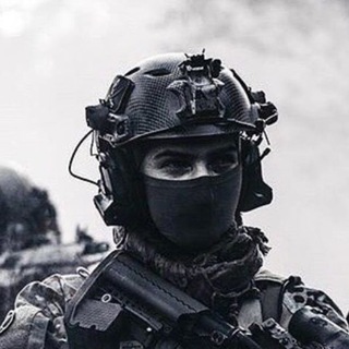 Telegram Channel logo harpte. Free Telegram Channel Analytics