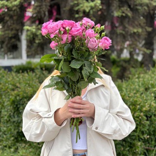 Логотип Телеграм канала . Бесплатная аналитика Telegram каналов