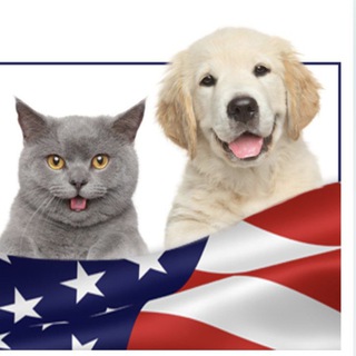 Telegram Channel logo petstousa. Free Telegram Channel Analytics