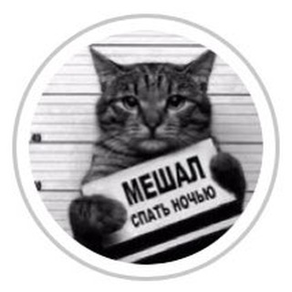 Логотип Телеграм канала . Бесплатная аналитика Telegram каналов