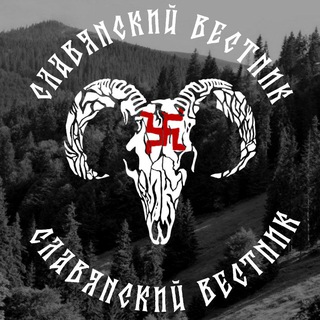 Логотип Телеграм канала . Бесплатная аналитика Telegram каналов