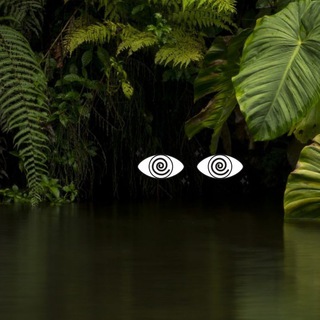 Telegram Channel logo Open Wide Space. Free Telegram Channel Analytics