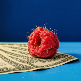 Логотип Телеграм канала . Бесплатная аналитика Telegram каналов