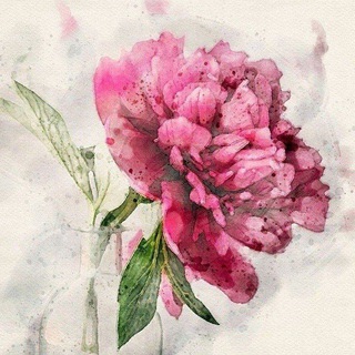 Telegram Channel logo rozhdenia_dnem_s. Free Telegram Channel Analytics