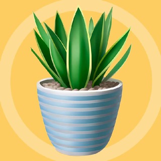 Логотип Телеграм канала cveetokk. Бесплатная аналитика Telegram каналов