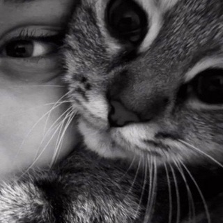 Логотип Телеграм канала znak_albine. Бесплатная аналитика Telegram каналов