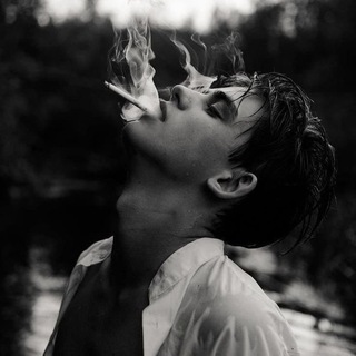 Telegram Channel logo ZEKO | STORE. Free Telegram Channel Analytics