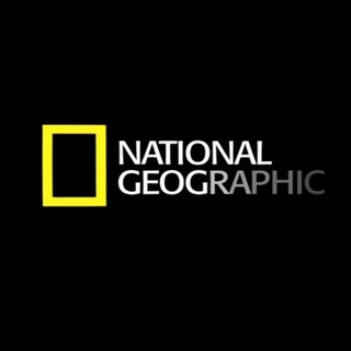 Логотип Телеграм канала National Geographic. Бесплатная аналитика Telegram каналов