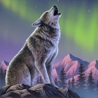 Логотип Телеграм канала Полярный дозор. Бесплатная аналитика Telegram каналов