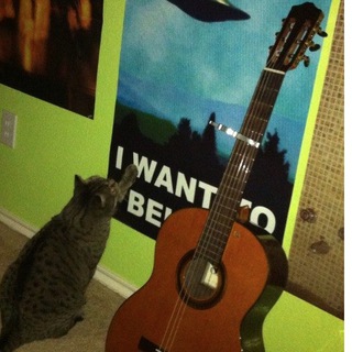 Логотип Телеграм канала Википедия каждый день. Бесплатная аналитика Telegram каналов