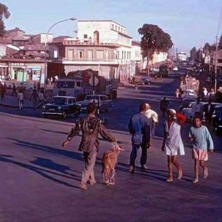 Логотип Телеграм канала Tezeta. Бесплатная аналитика Telegram каналов