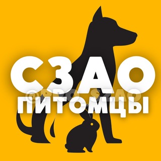 Логотип Телеграм канала petszao. Бесплатная аналитика Telegram каналов