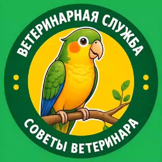 Логотип Телеграм канала vet_catd. Бесплатная аналитика Telegram каналов