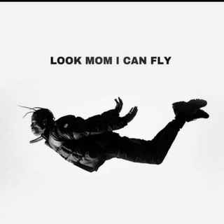 Telegram Channel logo M̤̮ɪɴᴅʟᴇss ᴘᴇᴏᴘʟᴇ🤡. Free Telegram Channel Analytics