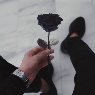 Telegram Channel logo romanov_1. Free Telegram Channel Analytics