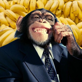 Telegram Channel logo +ydhLbADTe1o2NTNi. Free Telegram Channel Analytics