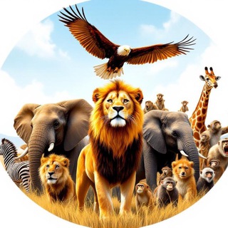 Логотип Телеграм канала zhivotnye_mir. Бесплатная аналитика Telegram каналов