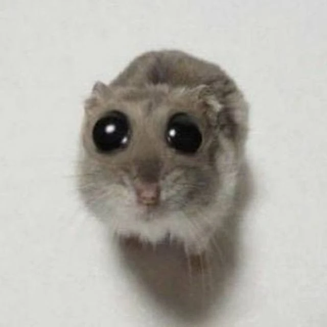 Логотип Телеграм канала 9lwgidwl6qmnpohlem-vdkkz3k84usaqmrkq7vcpnti. Бесплатная аналитика Telegram каналов