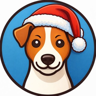 Telegram Channel logo jack_russell_channel. Free Telegram Channel Analytics