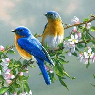 Логотип Телеграм канала رسائل الصباح📩. Бесплатная аналитика Telegram каналов