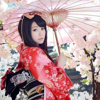 Логотип Телеграм канала . Бесплатная аналитика Telegram каналов