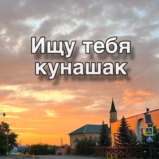 Логотип Телеграм канала . Бесплатная аналитика Telegram каналов