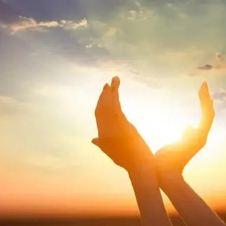 Telegram Channel logo Gesund ohne Rezept. Free Telegram Channel Analytics