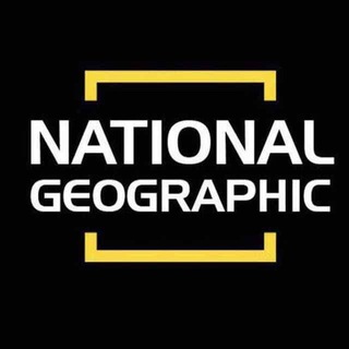 Telegram Channel logo National_Geographic_magazines. Free Telegram Channel Analytics