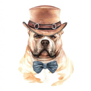 Telegram Channel logo sale4puppieschat. Free Telegram Channel Analytics