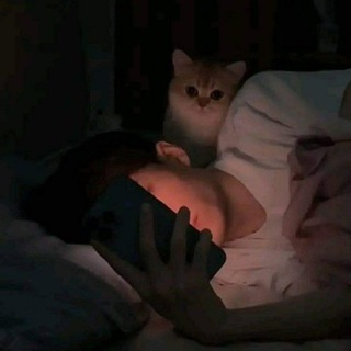 Логотип Телеграм канала TG Лаборатория. Бесплатная аналитика Telegram каналов