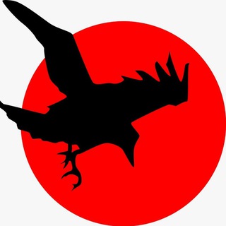 Telegram Channel logo Stefan Raven News (www.stefanraven.de). Free Telegram Channel Analytics