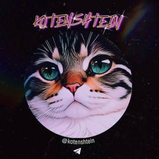 Telegram Channel logo kotenshtein1. Free Telegram Channel Analytics