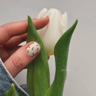 Логотип Телеграм канала Wildberries для Бьюти мастера | OZON вайлдберриз beauty маникюр брови макияж находки wb. Бесплатная аналитика Telegram каналов