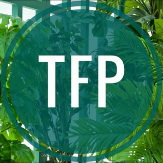 Логотип Телеграм канала tfpmodcam. Бесплатная аналитика Telegram каналов