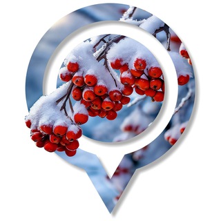 Логотип Телеграм канала . Бесплатная аналитика Telegram каналов