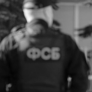 Логотип Телеграм канала Товарищ Z майор. Бесплатная аналитика Telegram каналов