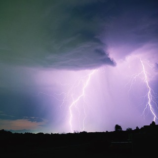 Логотип Телеграм канала armycat1. Бесплатная аналитика Telegram каналов