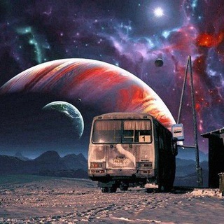 Telegram Channel logo chepushland. Free Telegram Channel Analytics